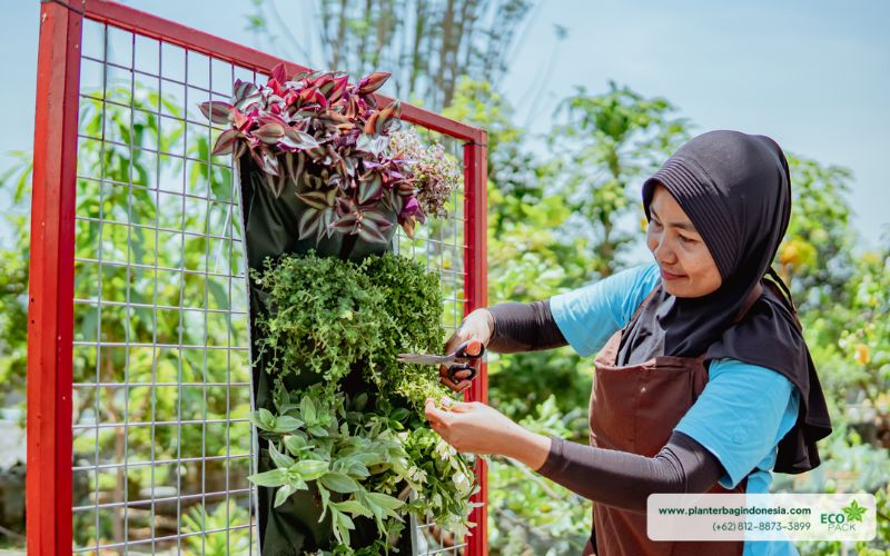 Perawatan Tanaman Wall Planter Bag