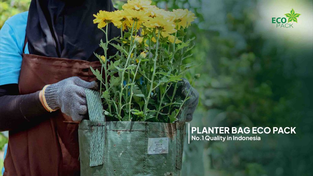 Planter Bag Eco Pack No.1 Quality in Indonesia