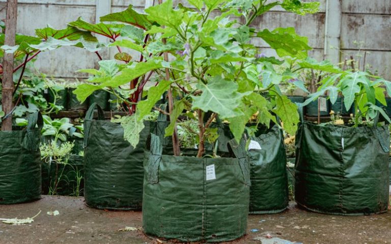 Planter Bag Eco Pack - Planter Bag Manufacturer