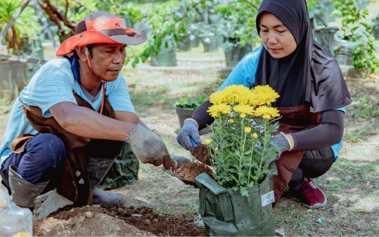 Planter Bag Indonesia Farm