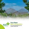 UV Plastic ECO Pack Indonesia
